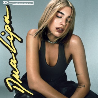 کاور آهنگ These Walls (feat. Pierre de Maere) از Dua Lipa