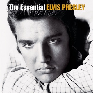 کاور آهنگ It's Now or Never از Elvis Presley