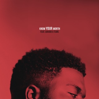 کاور آهنگ Know Your Worth (feat. Davido & Tems) از Khalid & Disclosure