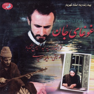 کاور آهنگ Taknavazi Ney, Forood Be Tork از Abdolhosein Mokhtabad