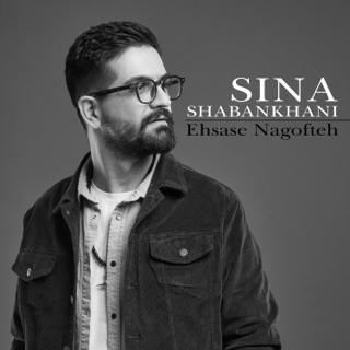 کاور آهنگ Ehsase Nagofteh از Sina Shabankhani
