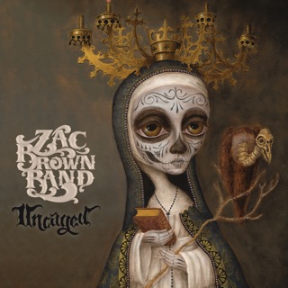 کاور آهنگ Jump Right In از Zac Brown Band
