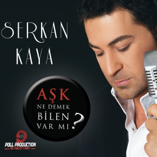 کاور آهنگ Sevemiyorum (Remix) از Serkan Kaya