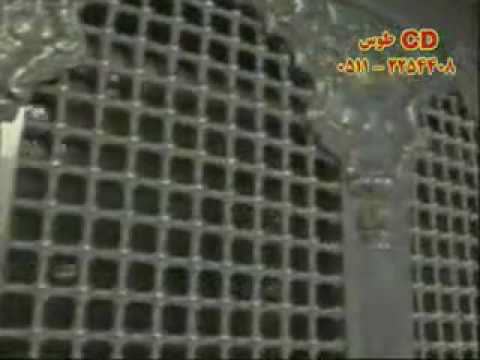 کاور آهنگ Zamin Aho امام علي رضا ع - ضامن آهو از Imam Ali Ridha a