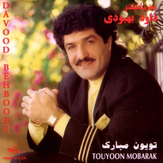کاور آهنگ Soormali Gooz از Davood Behboodi