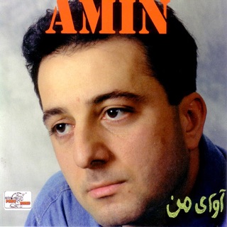 کاور آهنگ Faseleha از Farshid Amin