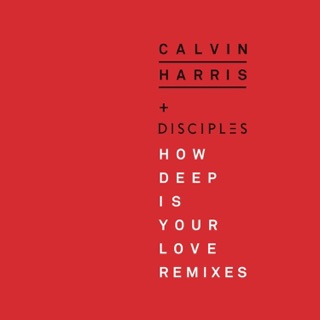 کاور آهنگ How Deep Is Your Love (Disciples & Unorthodox Remix) از Calvin Harris & Disciples