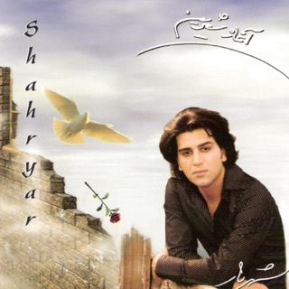 کاور آهنگ Niaz از Shahryar Rumi