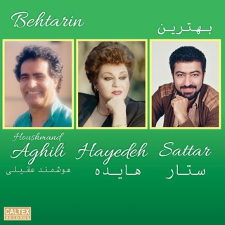 کاور آهنگ Nameh از Hayedeh