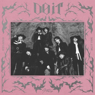 کاور آهنگ DIVINE از Stray Kids