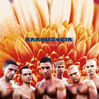 کاور آهنگ Wolt ihr das bet in flamen zihen از Rammstein
