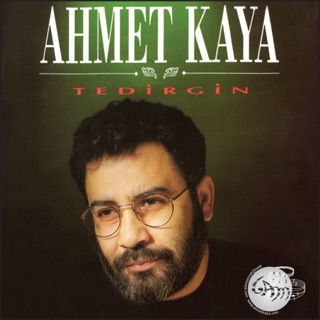کاور آهنگ Derin Bir Ah Çektim از Ahmet Kaya